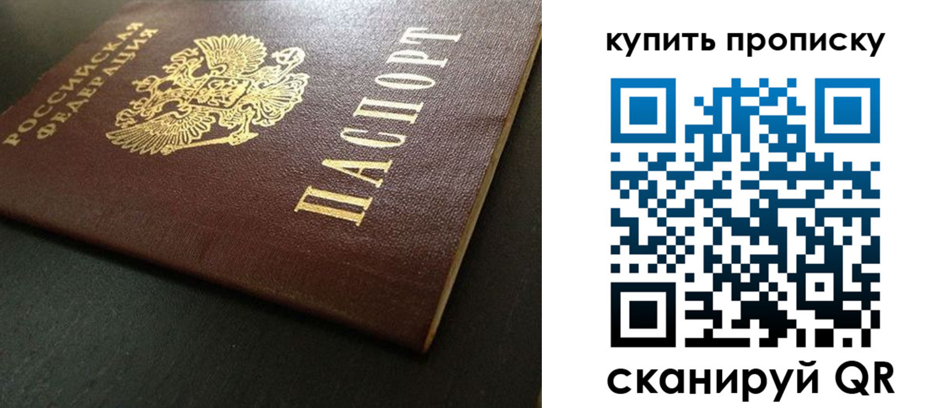 прописка законно в Заринске