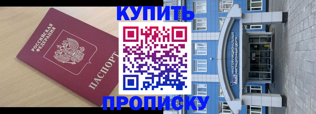 прописка поиск в Заринске